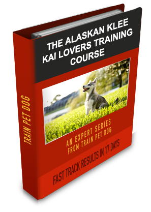 Alaskan Klee Kai Lovers