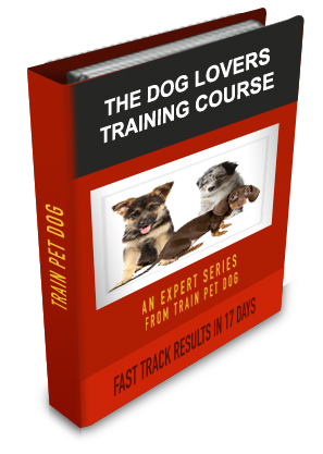 American Hairless Terrier Lovers