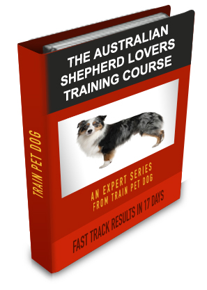 australian shepherd outline dogs u003e u003e australian shepherd free training course on australian australian shepherd outline dogs u003e u003e australian shepherd free training course on australian