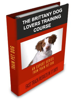 Brittany Dog Lovers