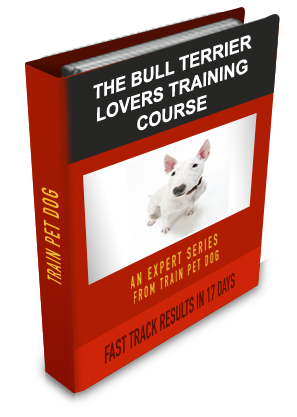 Bull Terrier Lovers