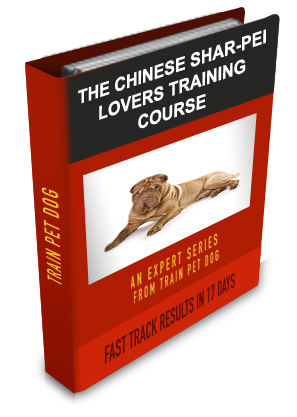 Chinese Shar-Pei Lovers