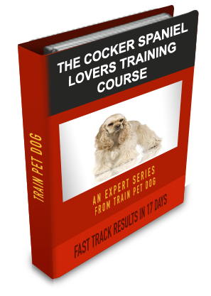 Cocker Spaniel Lovers