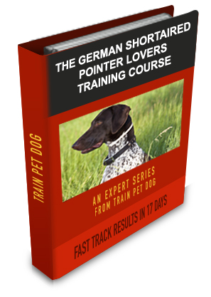 German Shorthaired Pointer Lovers