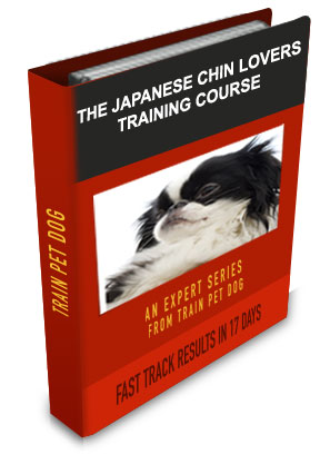 Japanese Chin Lovers