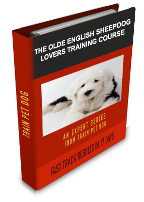 Old English Sheepdog Lovers