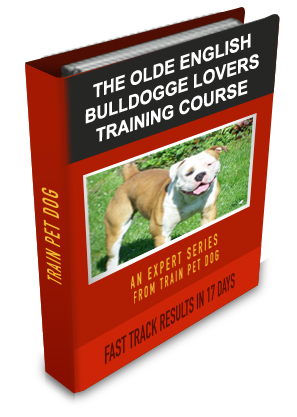 Olde English BullDogge Lovers