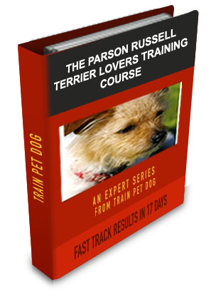 Parson Russell Terrier Lovers
