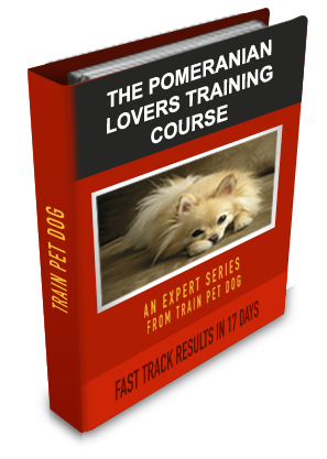 Dog Training Book