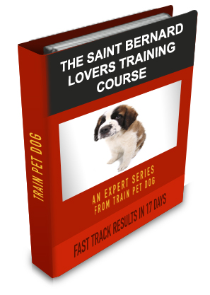 Saint Bernard Lovers