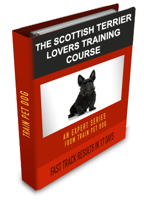 Scottish Terrier Lovers