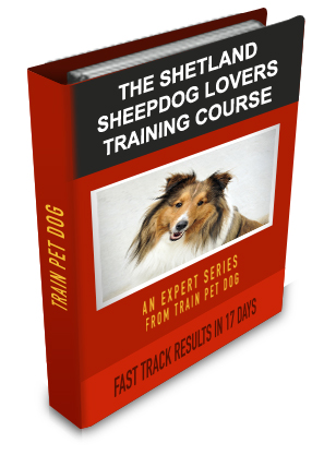 Shetland Sheepdog Lovers