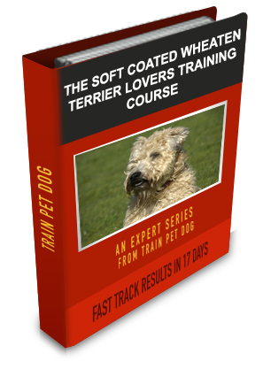Soft Coated Wheaten Terrier Lovers