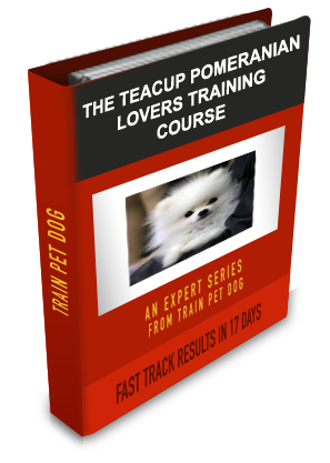 Teacup Pomeranian Lovers