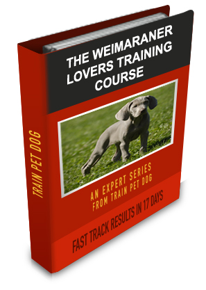 Weimaraner Lovers