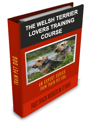 Welsh Terrier Lovers