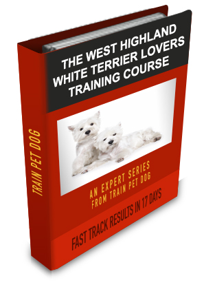 West Highland White Terrier Lovers