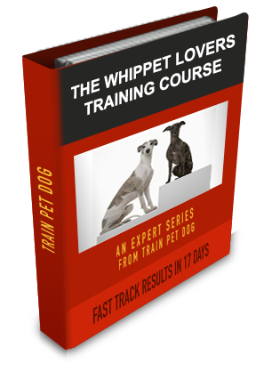 Whippet Lovers